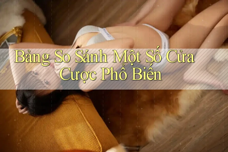 Bảng So Sánh Một Số Cửa Cược Phổ Biến