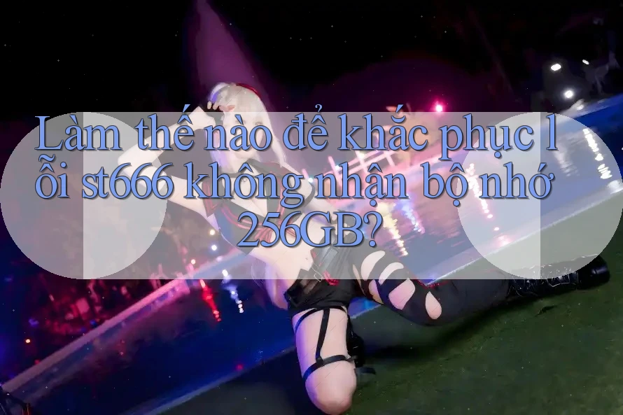 Làm thế nào để khắc phục lỗi st666 không nhận bộ nhớ 256GB? Làm thế nào để khắc phục lỗi st666 không nhận bộ nhớ 256GB?