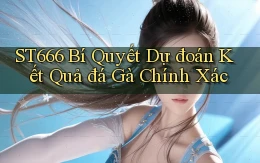 st666  bí quyết dự đoán kết quả đá gà chính xác