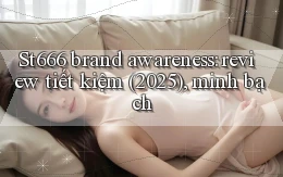 St666 brand awareness review tiết kiệm (2025), minh bạch