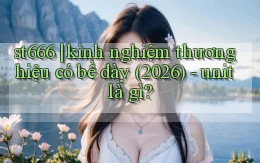 st666 kinh nghiệm thương hiệu có bề dày (2026)   unit là gì