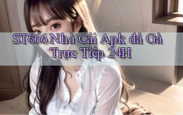 st666  nhà cái apk đá gà trực tiếp 24h