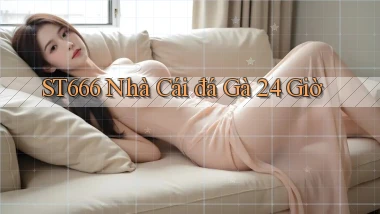 st666  nhà cái đá gà 24 giờ