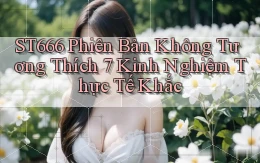 st666 phiên bản không tương thích 7 kinh nghiệm thực tế khắc